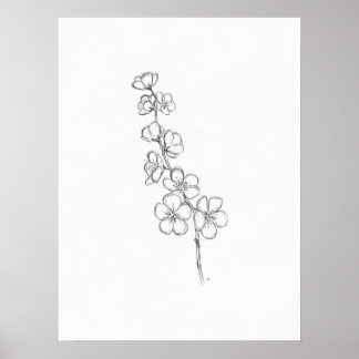Skriv ut skiss över Cherry Blommar Poster