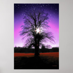 Skriv ut sol-Träd-stjärnor Poster
