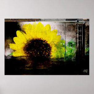 Skriv ut solrosbild poster