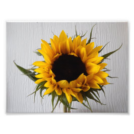 Skriv ut solrosfoto fototryck