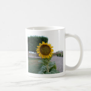 Skriv ut solroskonst kaffemugg