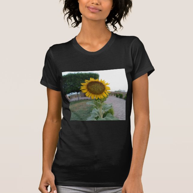 Skriv ut solroskonst tee (Framsida)