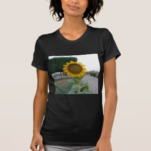 Skriv ut solroskonst tee shirt