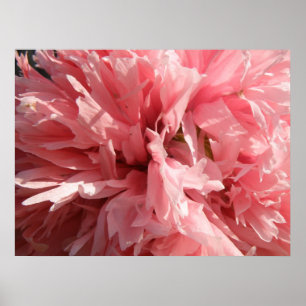 Skriv ut söt Rosa Poppy Poster