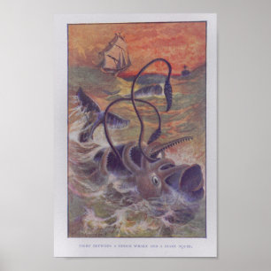 Skriv ut Sperm Whale Giant Squid Fight Färg Poster