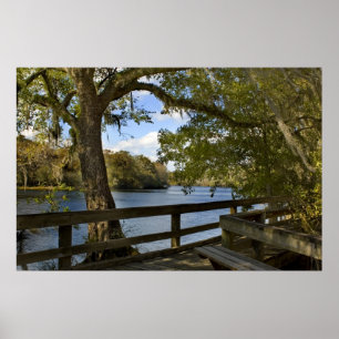 Skriv ut Suwannee River Boardpromengå Skriv ut Poster