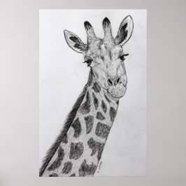 Skriv ut Teckning Art i Giraffe Porträtt Pencil Poster