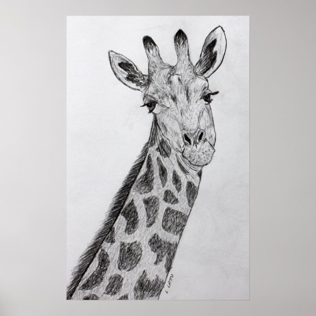 Skriv ut Teckning Art i Giraffe Porträtt Pencil Poster (Framsidan)