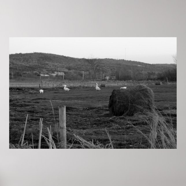 Skriv ut timmar dagar poster (Framsidan)