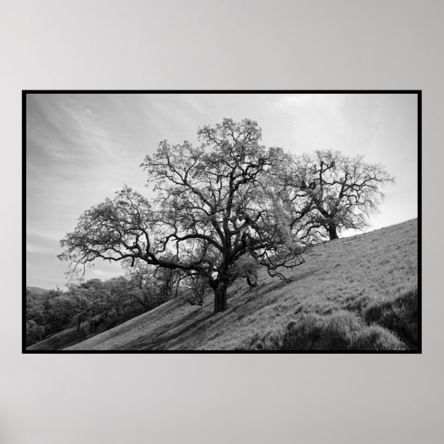 Skriv ut träd-post poster (Framsidan)