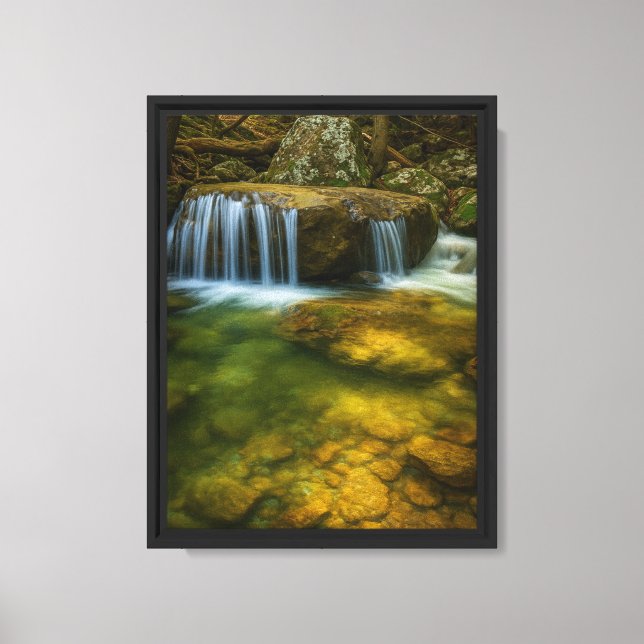 Skriv ut Tranquil Forest Stream Framed Canvas Art (Framsida)