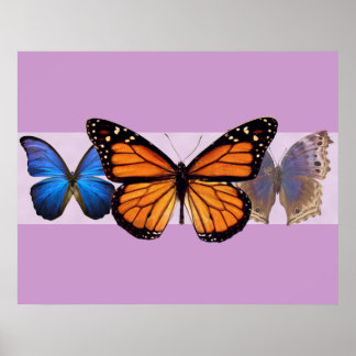 Skriv ut tre Söt Butterflies Poster