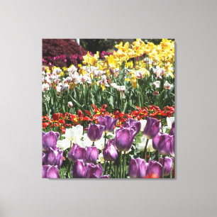 Skriv ut Tulip Garden Wrapped Canvas