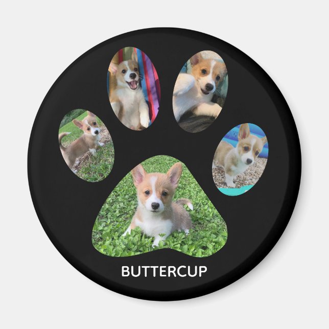 Skriv ut utskrift av anpassningsbar Pet-fotokopia Magnet (Framsidan)