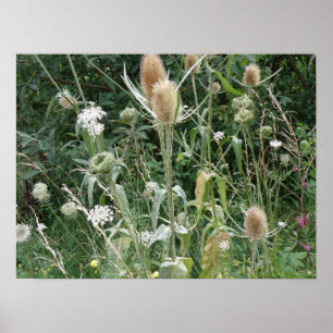 Skriv ut vild Grass Poster