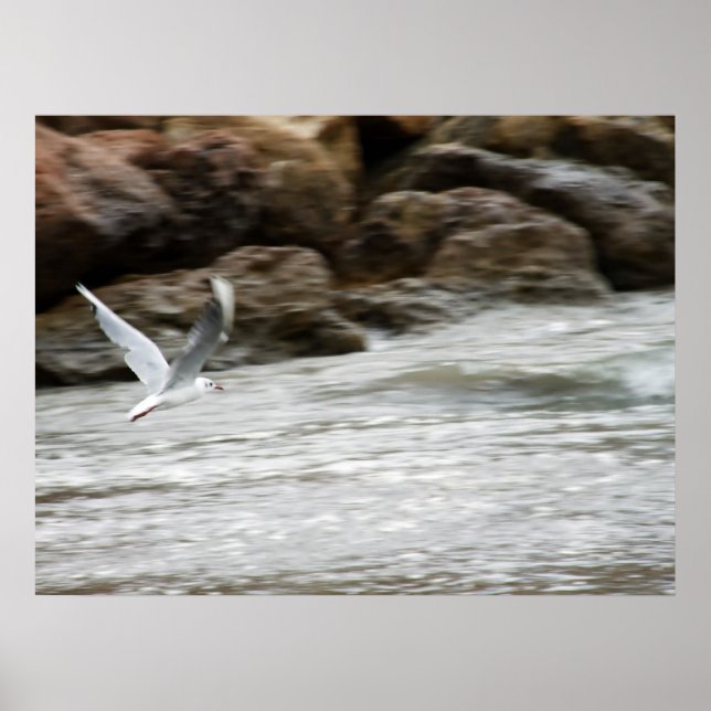 Skriv ut vind Master Poster (Framsidan)