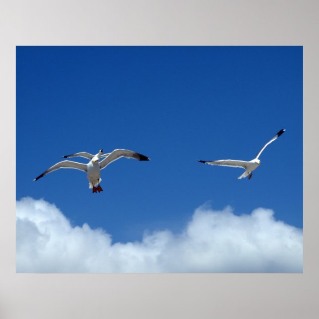 Skriv ut vind Masters Poster (Framsidan)