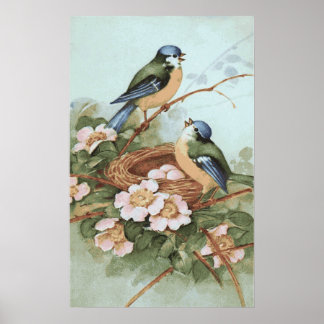 Skriv ut vintage Birds Poster