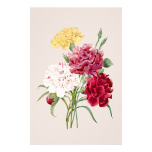 Skriv ut vintage Carnation Flowers Fototryck