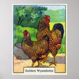 Skriv ut vintage Chicken Poster