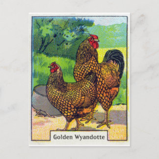 Skriv ut vintage Chicken Vykort