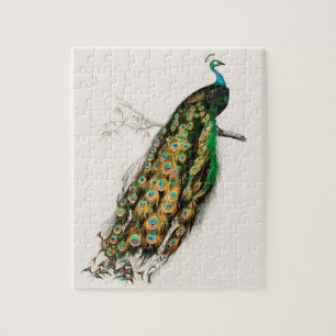 Skriv ut Vintage i Peacock Illustration Pussel