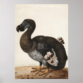 Skriv ut Vintagen Dodo Bird Poster