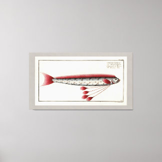 Skriv ut Vintagen Giant Oarfish Canvastryck