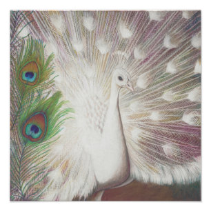 Skriv ut vit bock och Grönt Peacock Feather Art Sk Fototryck