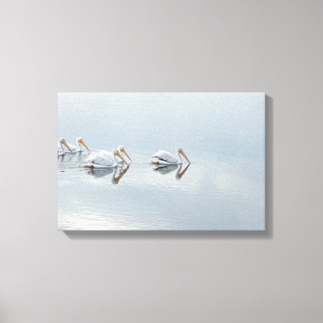 Skriv ut vit pelican Birds Wrapped Canvas (Framsida)
