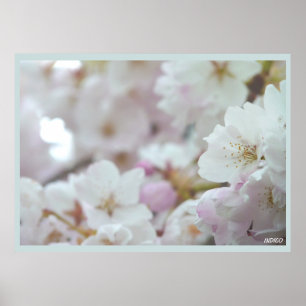 Skriv ut vitblomma för Blommar av körsbär Poster S