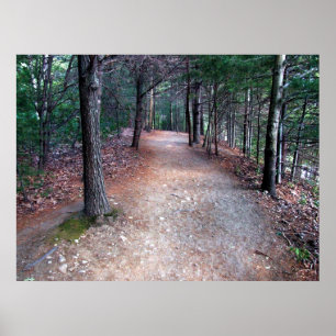 Skriv ut Walden Pond-spårning Poster