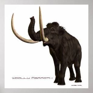 Skriv ut Wooly Mammoth Poster