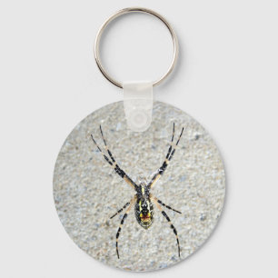 Skriva in spider-nyckelkedja nyckelring
