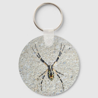 Skriva in spider-nyckelkedja nyckelring