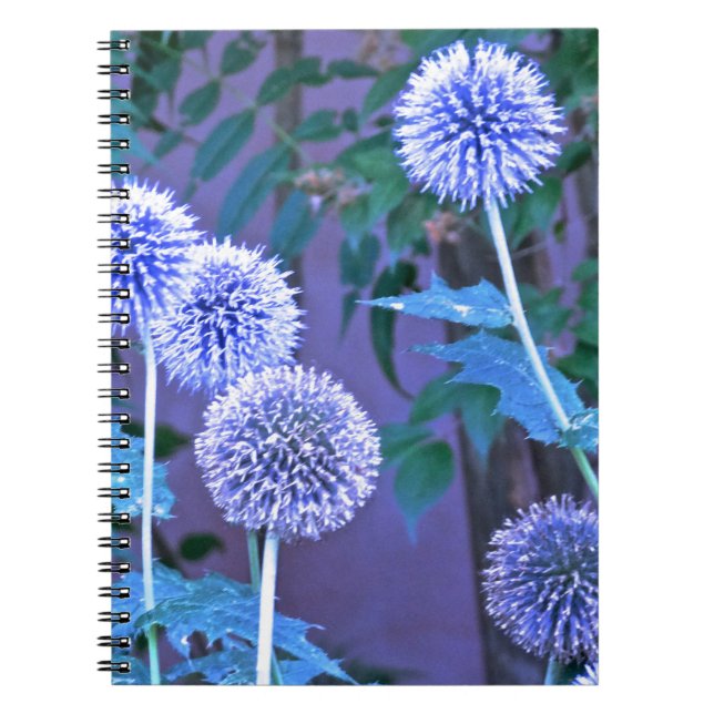 skriva journal anteckningsbok (Framsidan)