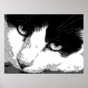 Skriva och bläckkatten poster