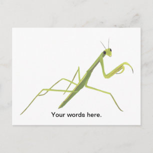 Skriva ut Mantis Painting Anpassningsbar Postcards Vykort