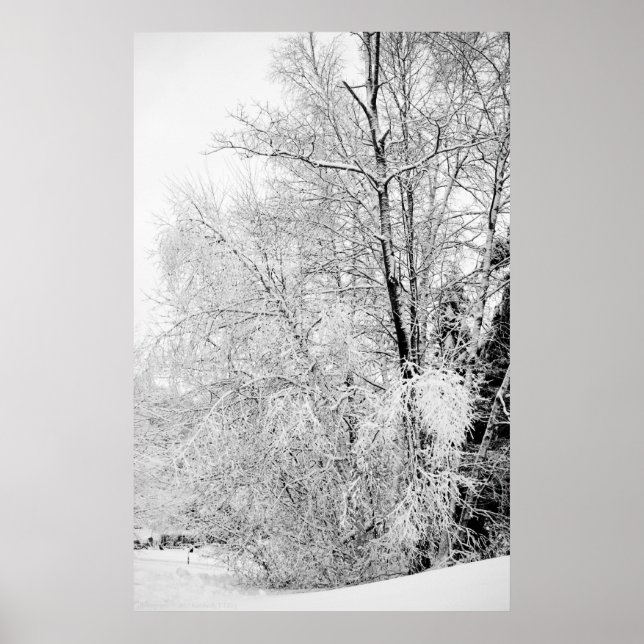 Skriva ut vinter poster (Framsidan)