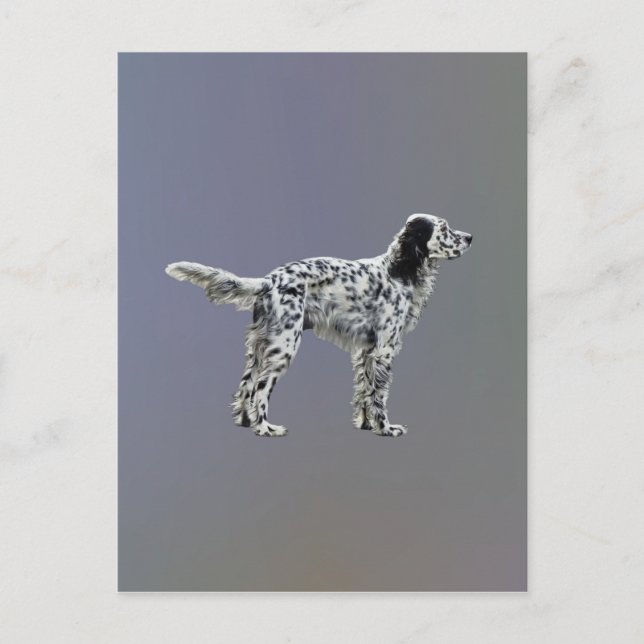 Skrivbordsbrev Vykort (Framsida)