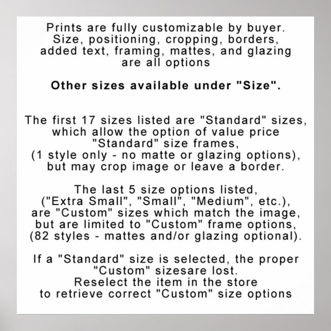 SKRIVNINGAR - INFO - ANPASSNING / STORLEK POSTER (Framsidan)