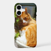 Skrot i en kruka Case-Mate Samsung Galaxy-fodral