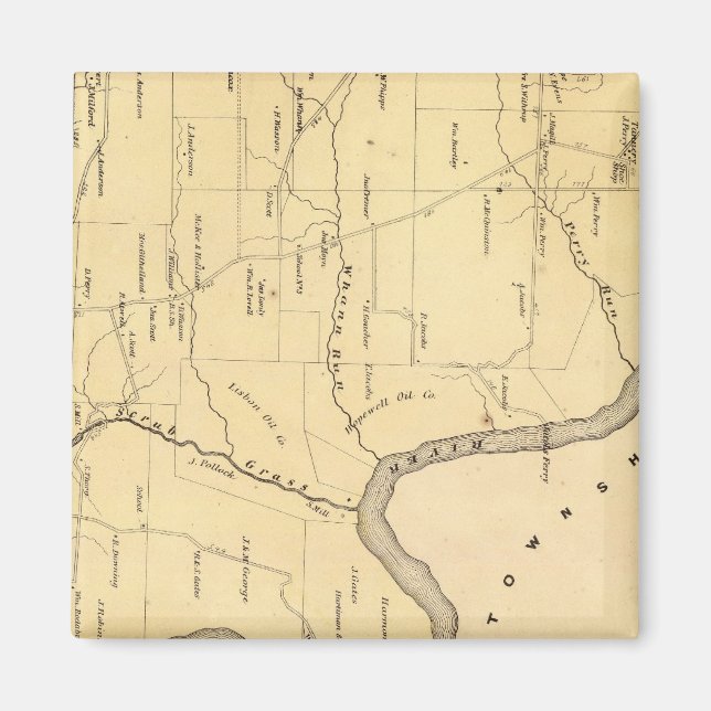 Skrubbskädda Magnet (Framsidan)