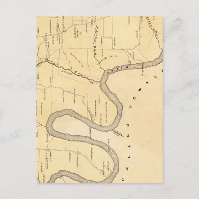 Skrubbskädda Vykort (Framsida)