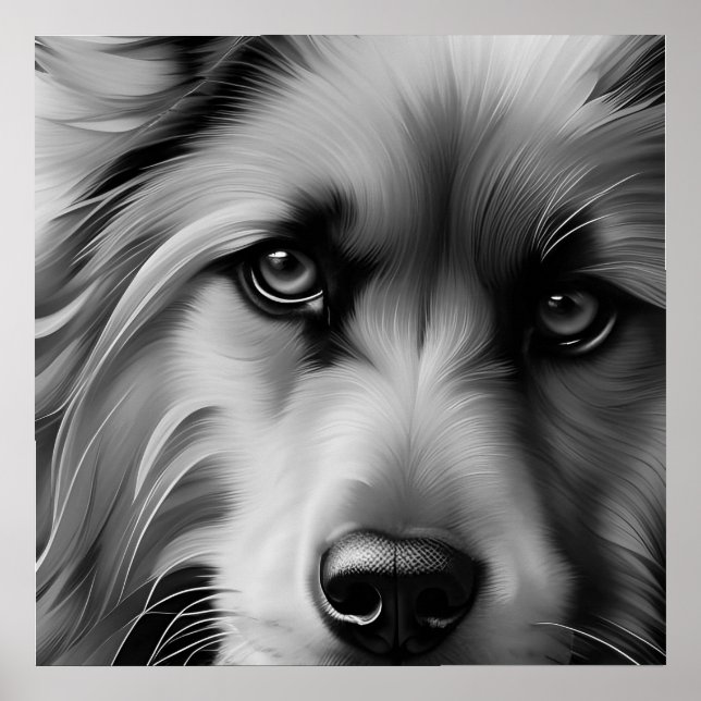 SKRUFFY TERRIER HUND BLACK AND WHITE POSTER (Framsidan)