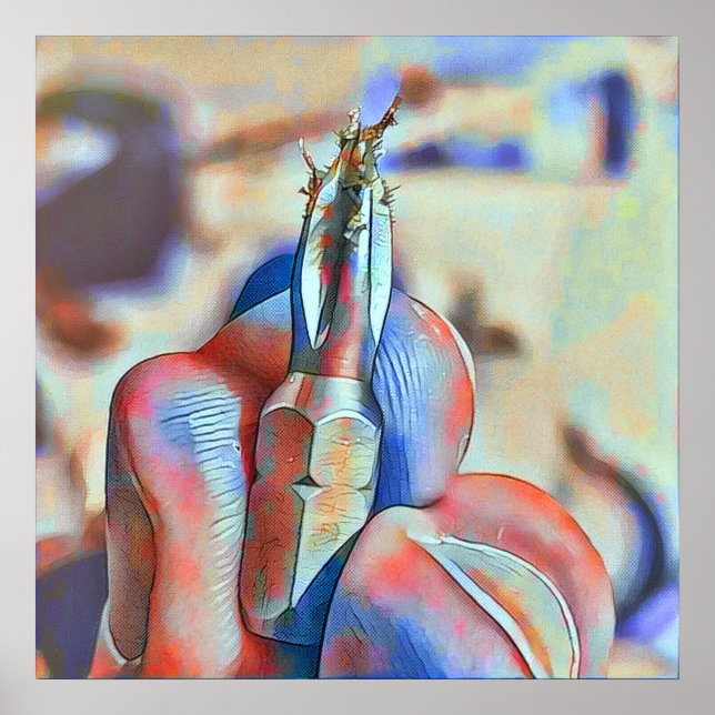 Skruvad Poster (Framsidan)