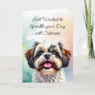 Skrynka din dag med skärpa   Shih Tzu Kort