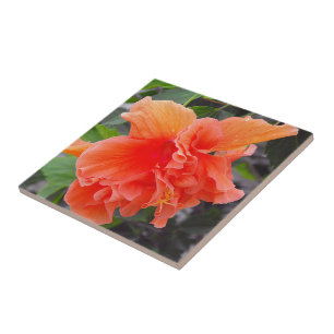 Skrynklig Orange Blomma Kakelplatta