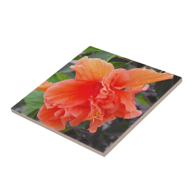 Skrynklig Orange Blomma Kakelplatta (Sidan)