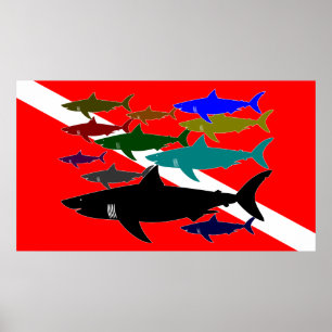 Skuba/Sharks Poster
